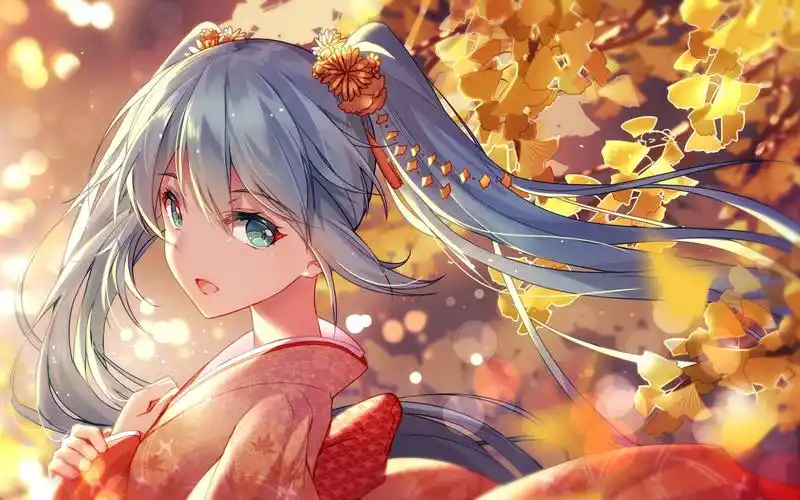 高清画质 在线动漫新体验